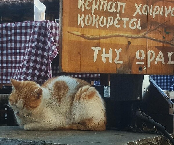 30 νέες φωτογραφίες απ' τα τέλεια ζώα των αναγνωστών μας
