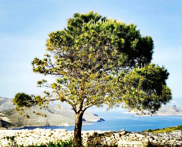 30 νέες φωτογραφίες των αναγνωστών μας, στο σημερινό INSTALIFO