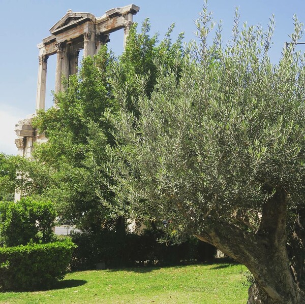 40 νέες φωτογραφίες των αναγνωστών μας, στο σημερινό INSTALIFO