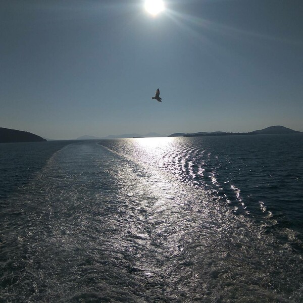 40 νέες φωτογραφίες των αναγνωστών μας, στο σημερινό INSTALIFO
