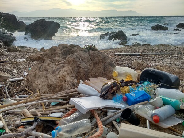 Nεκρά δελφίνια στις ελληνικές παραλίες γεμάτα πλαστικό στο στομάχι τους