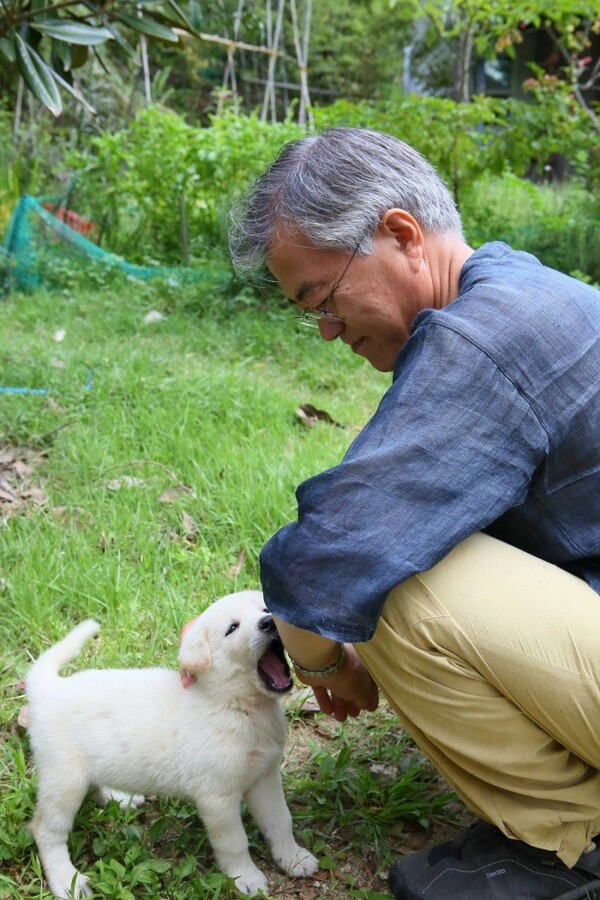 Ο νέος Πρόεδρος της Ν. Κορέας λατρεύει τα ζώα και έχει υιοθετήσει αρκετά αδέσποτα