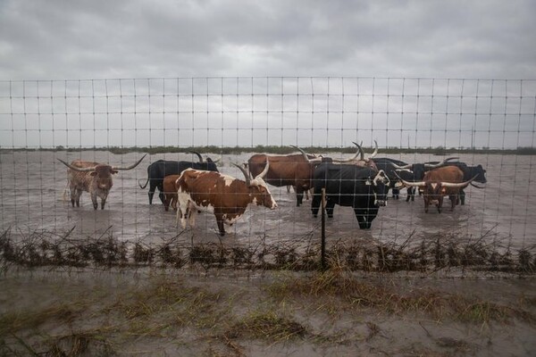 60 εικόνες από τον τυφώνα Harvey, που δείχνουν όλες τις πτυχές της καταστροφής