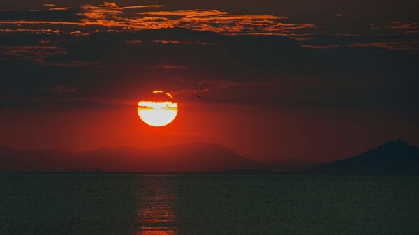 40 νέες φωτογραφίες των αναγνωστών μας, στο σημερινό INSTALIFO