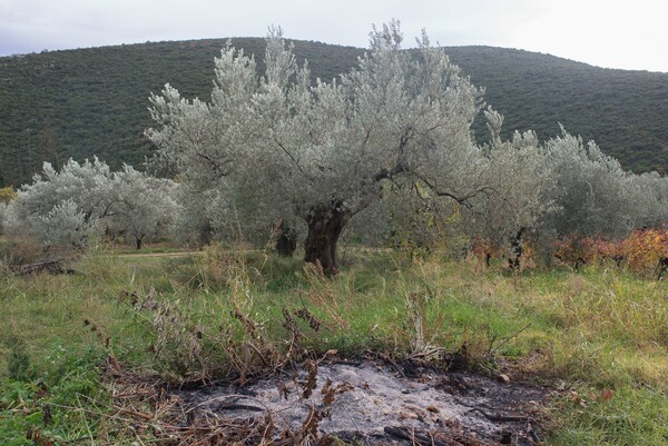 Στην Αχαΐα: ένας φωτογράφος επιστρέφει στον τόπο καταγωγής του