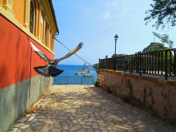 40 νέες φωτογραφίες των αναγνωστών μας, στο σημερινό INSTALIFO