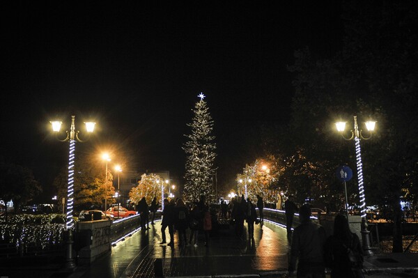 Τρίκαλα: Φωταγωγήθηκε το ψηλότερο φυσικό χριστουγεννιάτικο δέντρο στην Ελλάδα