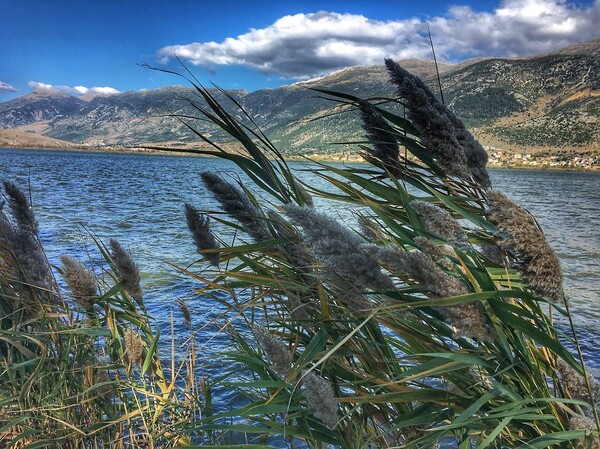 40 νέες φωτογραφίες των αναγνωστών μας, στο σημερινό INSTALIFO