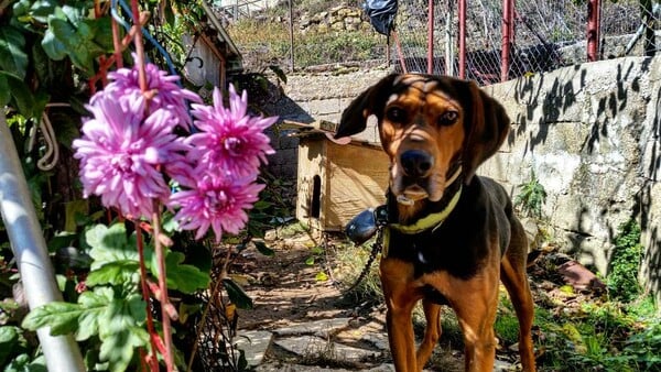 30 νέες φωτογραφίες απ' τα τέλεια ζώα των αναγνωστών μας