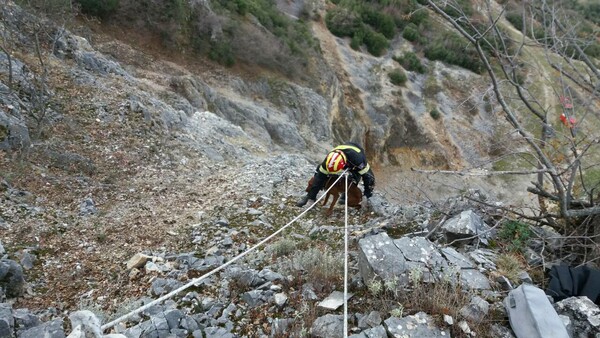 Κοζάνη: Η εντυπωσιακή διάσωση ενός σκύλου που έπεσε στον γκρεμό