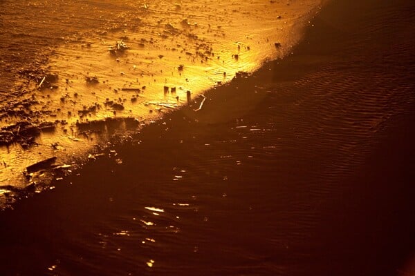 Η μεγαλοπρεπής καθημερινότητα της Rinko Kawauchi