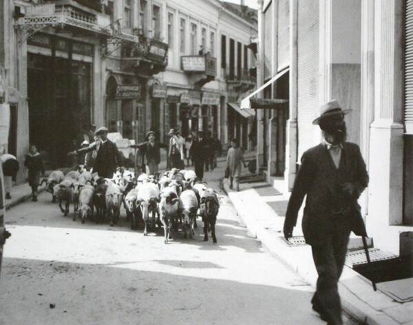 Οι πιο εντυπωσιακές Μικρές Αγγελίες της παλιάς Αθήνας σε ένα βιβλίο που μόλις κυκλοφόρησε