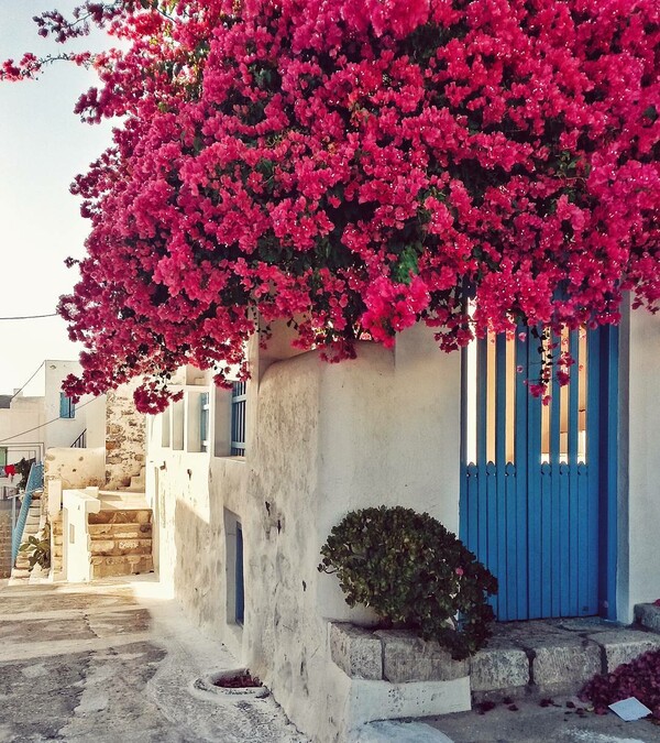 50 νέες φωτογραφίες των αναγνωστών μας, στο σημερινό INSTALIFO