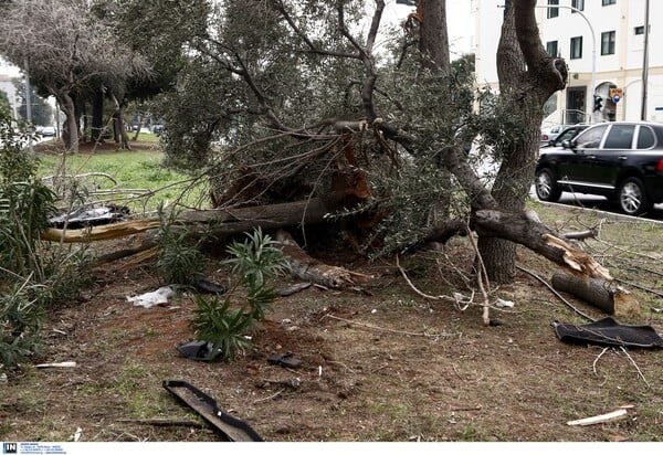 Τι λένε οι γιατροί για τον Ηλία Βρεττό - Γιατί χαρακτηρίζεται κρίσιμη η κατάστασή του μετά το τροχαίο