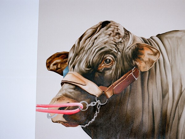 «Frieze 2015» XXX