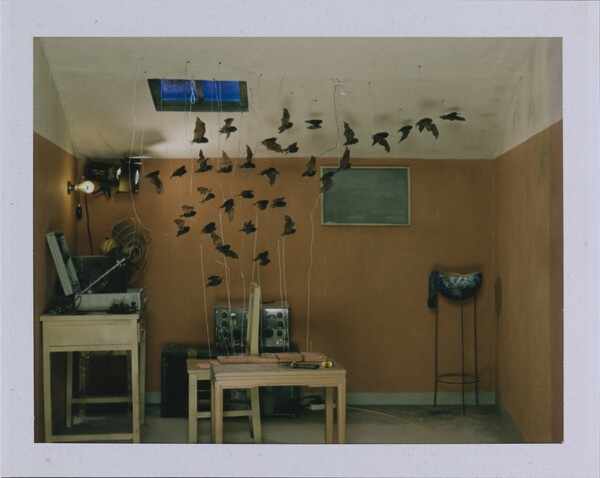 Η ιστορία της Polaroid μέσα από μια συναρπαστική έκθεση στο Αμβούργο