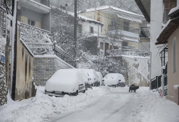 Ψύχος από τη Σιβηρία απλώνεται σε όλη την Ευρώπη - Φωτογραφίες από τη Μόσχα μέχρι το Παρίσι και την Ελλάδα