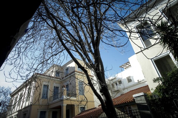 Ξεριζώθηκε τεράστιο δέντρο στο κέντρο της Αθήνας από τους θυελλώδεις ανέμους