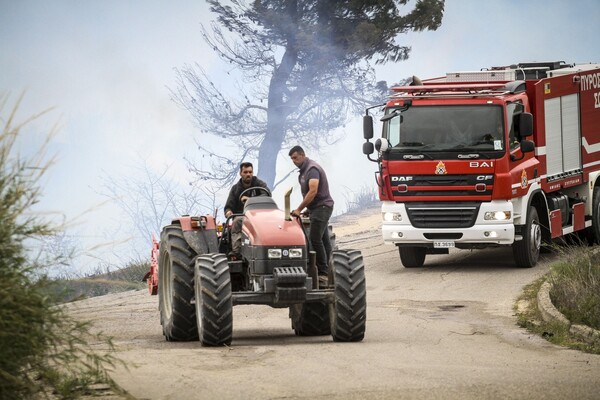 Σε ύφεση η πυρκαγιά στην Φρίξα της Ηλείας