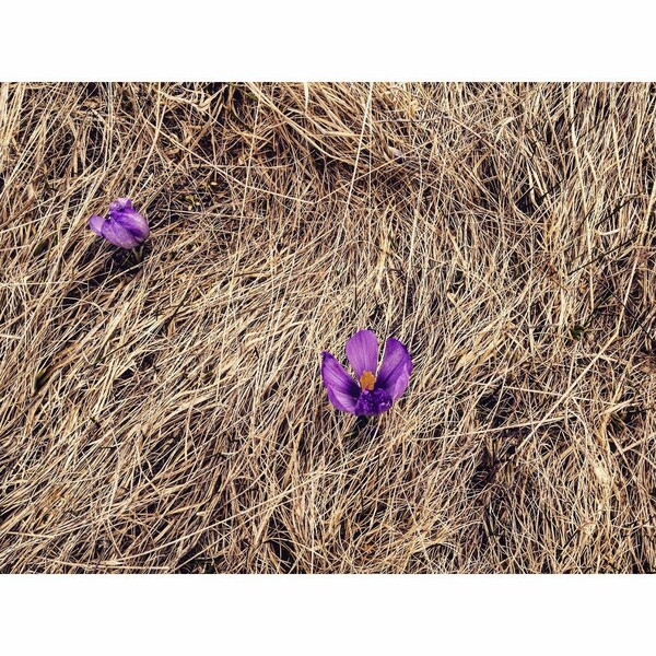 30 νέες φωτογραφίες των αναγνωστών μας, στο σημερινό INSTALIFO