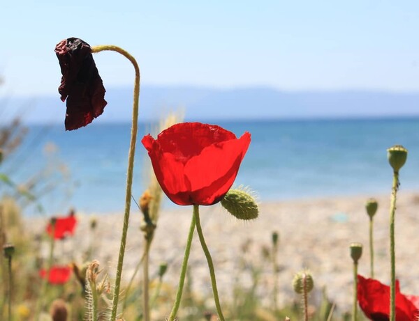 40 νέες φωτογραφίες των αναγνωστών μας, στο σημερινό INSTALIFO