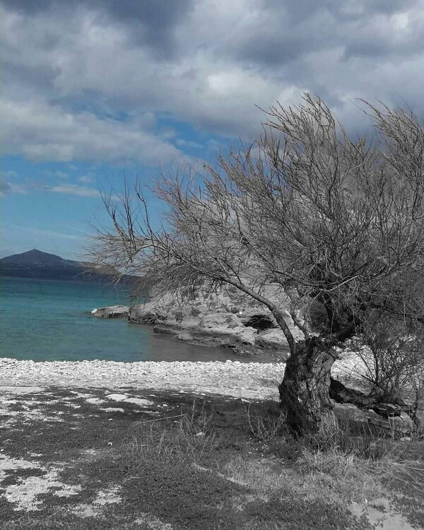 40 νέες φωτογραφίες των αναγνωστών μας, στο σημερινό INSTALIFO