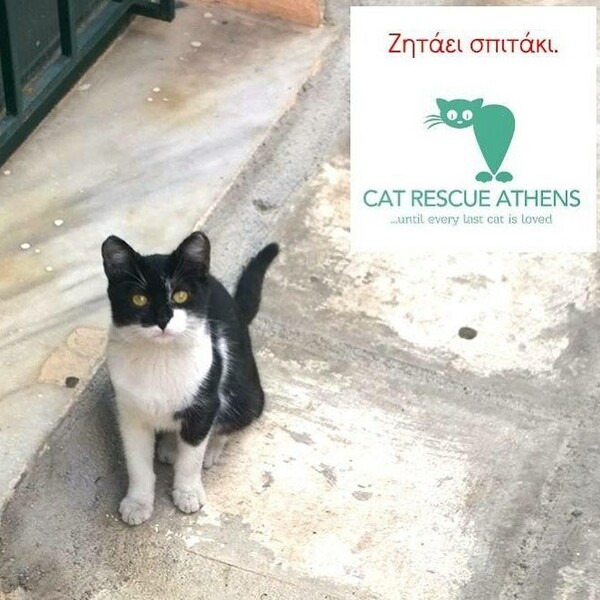 30 νέες φωτογραφίες απ' τα τέλεια ζώα των αναγνωστών μας