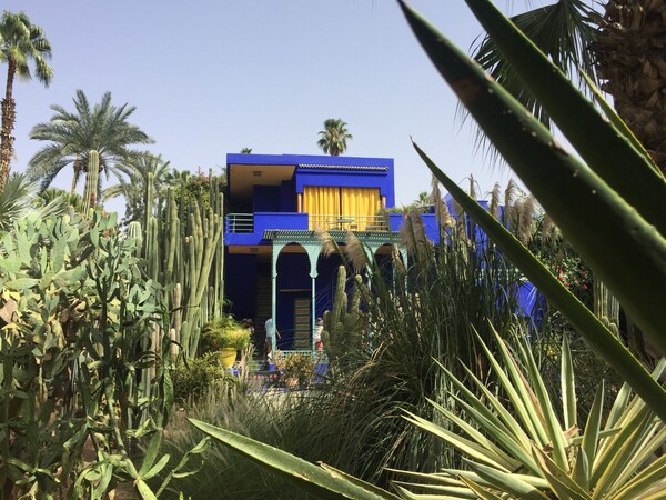 Η Άλκηστις Ζογκόλη φωτογράφισε το Μαρόκο με το κινητό της