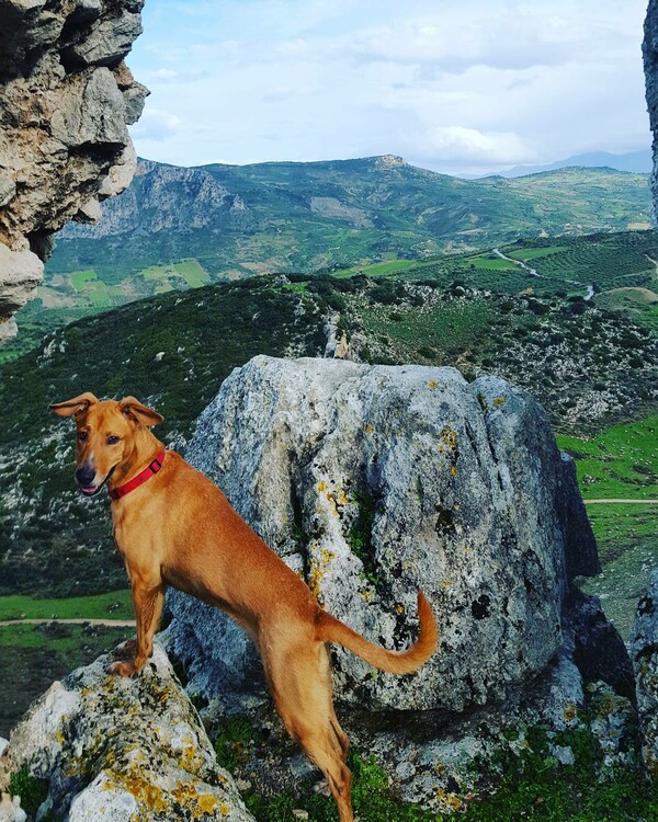 30 νέες φωτογραφίες απ' τα τέλεια ζώα των αναγνωστών μας