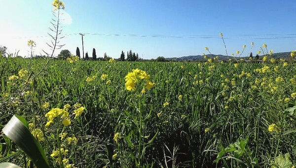 40 νέες φωτογραφίες των αναγνωστών μας, στο σημερινό INSTALIFO