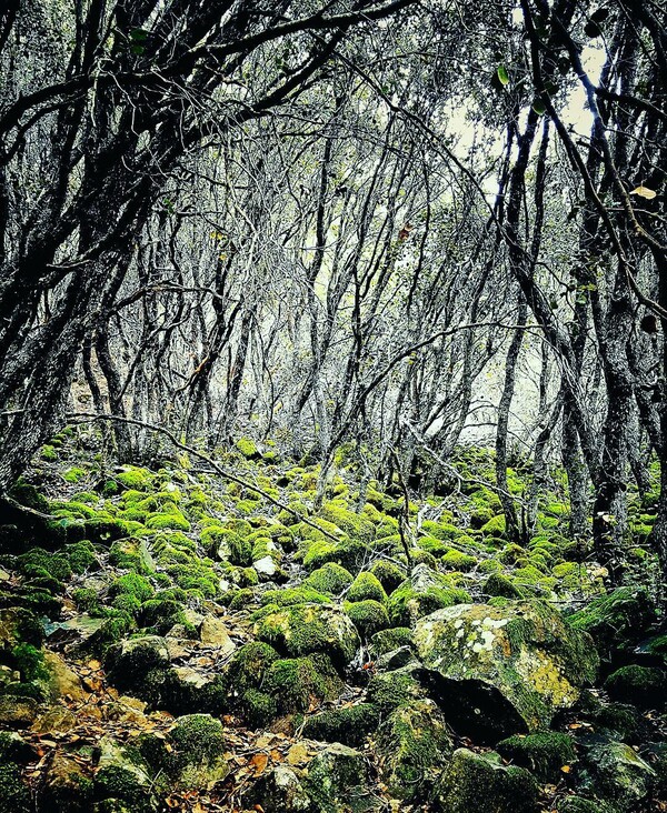 40 νέες φωτογραφίες των αναγνωστών μας, στο σημερινό INSTALIFO