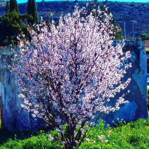 40 νέες φωτογραφίες των αναγνωστών μας, στο σημερινό INSTALIFO