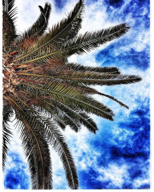 30 νέες φωτογραφίες των αναγνωστών μας, στο σημερινό INSTALIFO