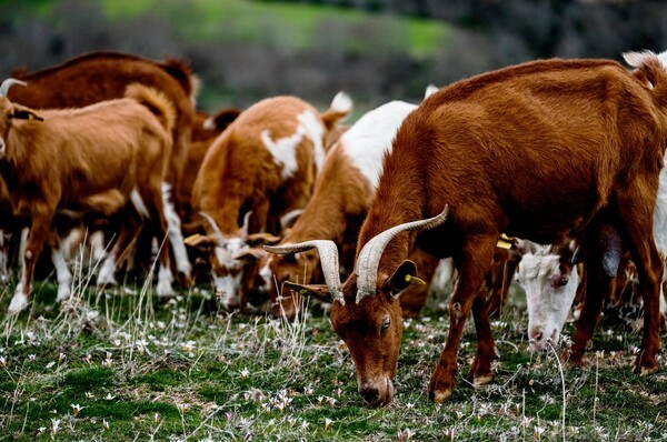 Όταν παίρνεις το ρίσκο και ακολουθείς τον πιο δύσκολο δρόμο