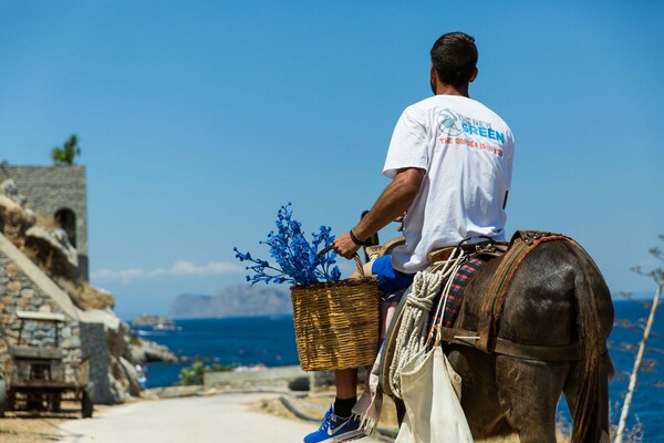 Η εικαστική μπλόφα της Μαρίας Τσάγκαρη και η Ύδρα ως απόλυτος προορισμός νέων καλλιτεχνών