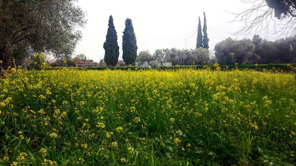 40 νέες φωτογραφίες των αναγνωστών μας, στο σημερινό INSTALIFO