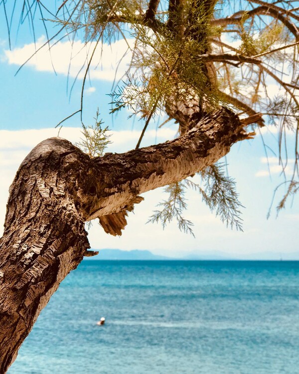 40 νέες φωτογραφίες των αναγνωστών μας, στο σημερινό INSTALIFO