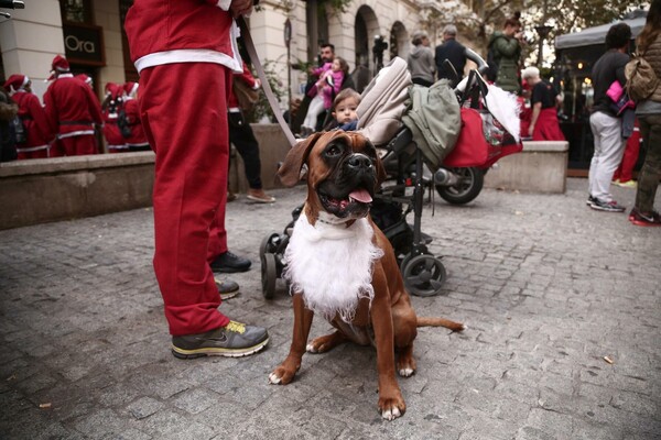 15 φωτογραφίες από το φετινό Santa Run της Αθήνας