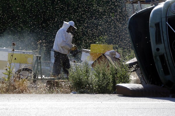 Πρωτοφανής τραγωδία μετά από τροχαίο - Μέλισσες διέφυγαν και σκότωσαν ψαρά στην Εύβοια