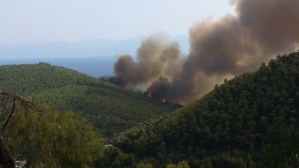 Μεγάλη πυρκαγιά στη Σκόπελο - Καίγεται ο Αμάραντος (ΦΩΤΟΓΡΑΦΙΕΣ)