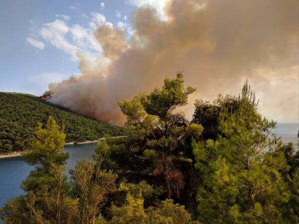 Μεγάλη πυρκαγιά στη Σκόπελο - Καίγεται ο Αμάραντος (ΦΩΤΟΓΡΑΦΙΕΣ)