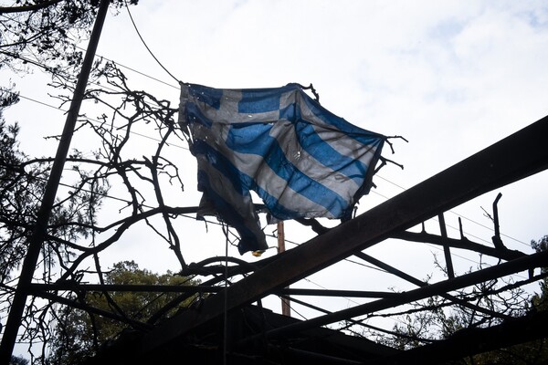 Κρανίου Τόπος το Μάτι στη Ραφήνα - Όλα καμένα, θυμίζουν εικόνες από θρίλερ (ΦΩΤΟΡΕΠΟΡΤΑΖ)