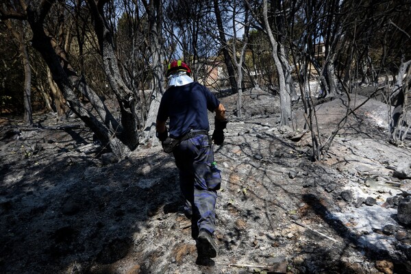 Ένας 65χρονος φέρεται να προκάλεσε την φονική πυρκαγιά που έκαψε το Μάτι