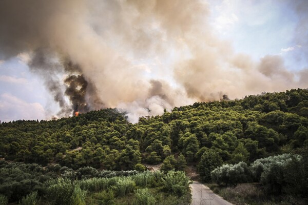 Σε ύφεση η πυρκαγιά στην Δαφνιώτισσα στην Αμαλιάδα