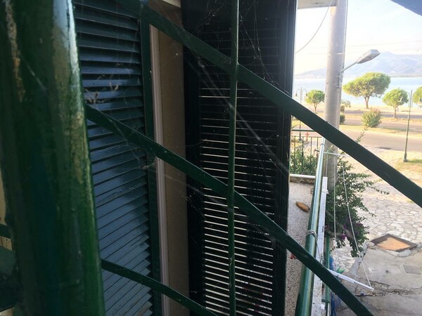 Πέπλα αράχνης και σμήνη από σκνίπες ακόμα και μέσα σε σπίτια στο Αιτωλικό (ΦΩΤΟΓΡΑΦΙΕΣ)