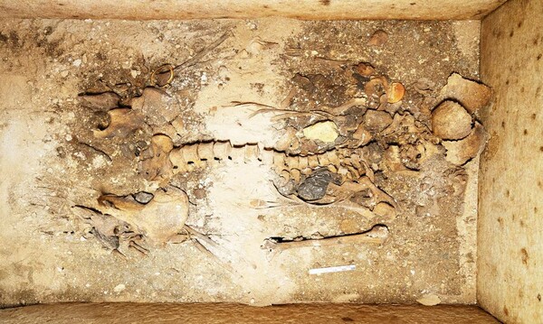 Νεικώ - Ποια είναι η σημαντική «ένοικος» του τάφου που βρέθηκε στην Σίκινο