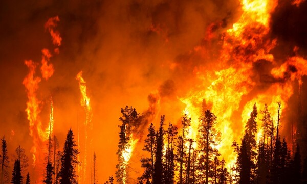 Καύσωνας και πυρκαγιές σχεδόν σε όλη την Ευρώπη: Χιλιάδες στρέμματα δάσους έχουν γίνει στάχτη