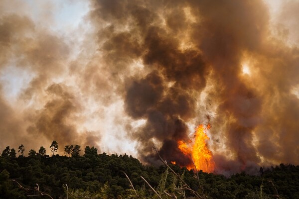 Αμαλιάδα: Επιτήρηση με drone στις περιοχές που εκδηλώθηκαν πυρκαγιές