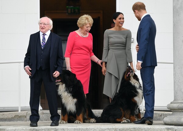 Η Μέγκαν και τα πελώρια προεδρικά σκυλιά - To βασιλικό ζευγάρι γοητεύει την Ιρλανδία