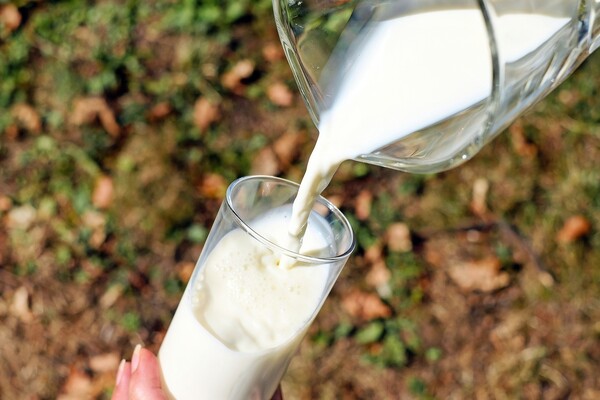 Η ΟΛΥΜΠΟΣ γιόρτασε την παγκόσμια ημέρα γάλακτος προσφέροντας 30.000 ποτήρια γάλα στα παιδιά της «Κιβωτού του Κόσμου»